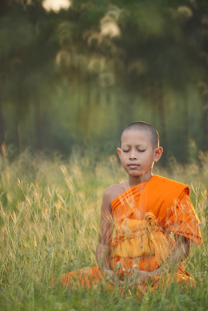 Vinyasa Flow Workshops